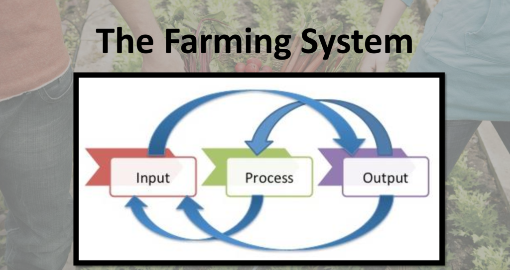 geography of food production